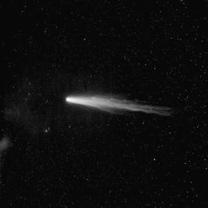 美女性交动太图免费试看
